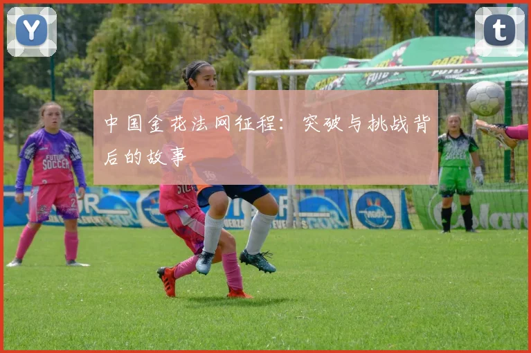 中国金花法网征程：突破与挑战背后的故事