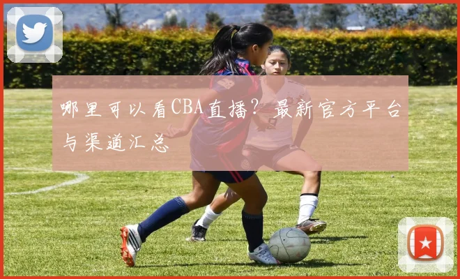 哪里可以看CBA直播？最新官方平台与渠道汇总