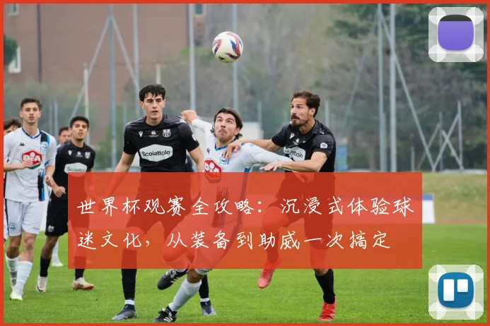 世界杯观赛全攻略：沉浸式体验球迷文化，从装备到助威一次搞定