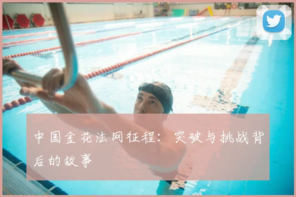 中国金花法网征程：突破与挑战背后的故事