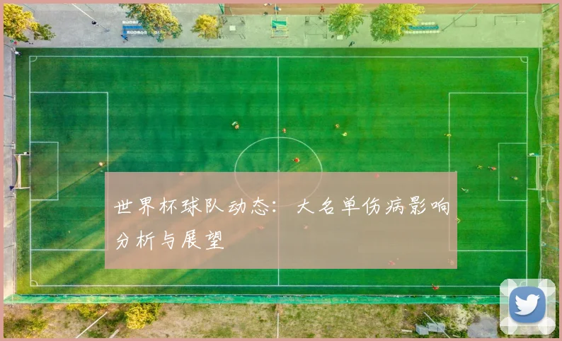世界杯球队动态：大名单伤病影响分析与展望